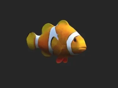 Smooth untextured Clown Fish 3D model