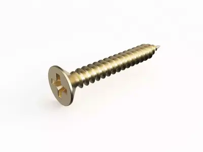 Screw 05 3D model