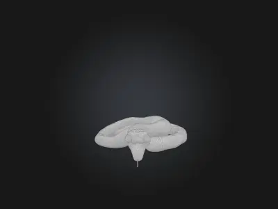 Realistic Wounded Snake Model Low-poly 3D model