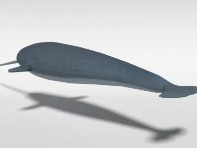 Low Poly Cartoon Narwhal Low-poly 3D model