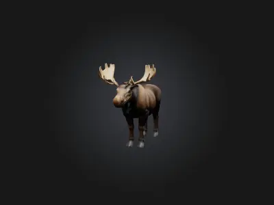 Realistic Moose Model Low-poly 3D model