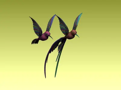 colibri humming bird 3D model purchase