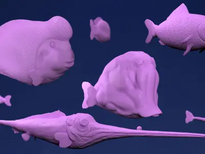 Four Fishes Pack 3D model