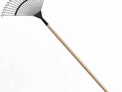 Fan Rake 3D model