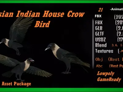 Asian Indian House Crow Bird Free 3D model purchase