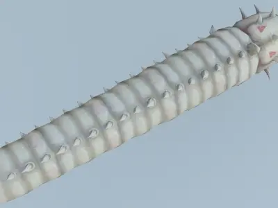 Monster insect worm boss shachong 3D model