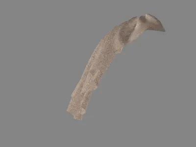 Dress collars scarves and necklaces decorated 3d models 3D model