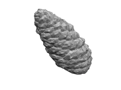 Pine Cone - Real-Time Scanned Low-poly 3D model