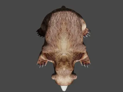 Bear With Textures 3D model