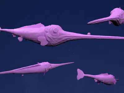 Four Fishes Pack 3D model