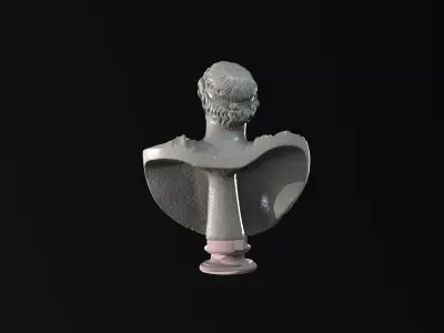 Imperial Roman Bust Collection - High Detail 3D Sculpture 3D model