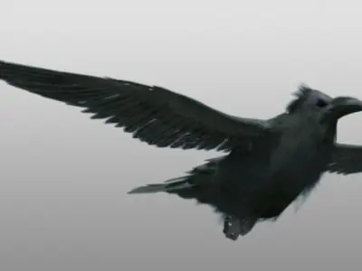 Raven 3D model