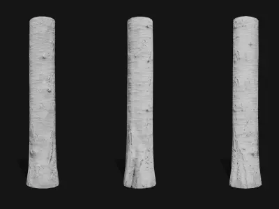 Sweet cherry bark PBR tiled textures 8K 3D model