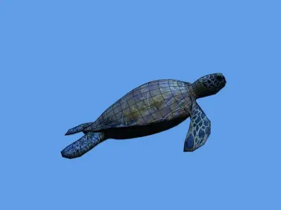 sea turtle lowpoly Low-poly 3D model
