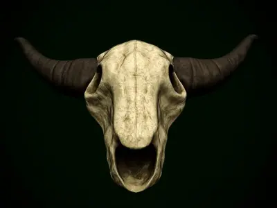Bull Skull Low-poly 3D model