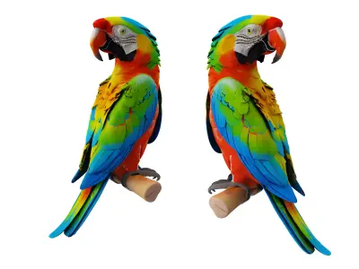 Parrot 3D model shop