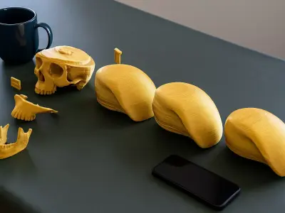 Peruvian Army Beret Skull printable and renderable 3D print model