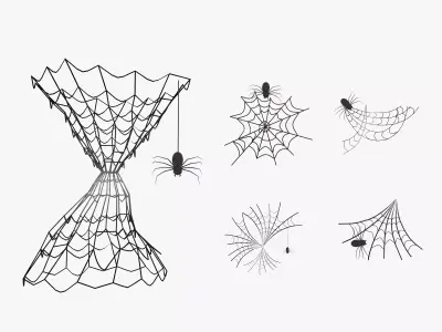Spider Web 3D model purchase