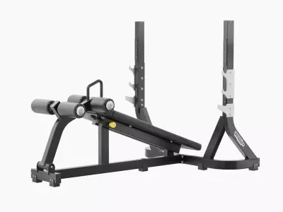 Technogym Olympic Declined Bench Pure 3D model