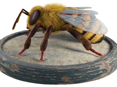 Bee - Blender Low-poly 3D model