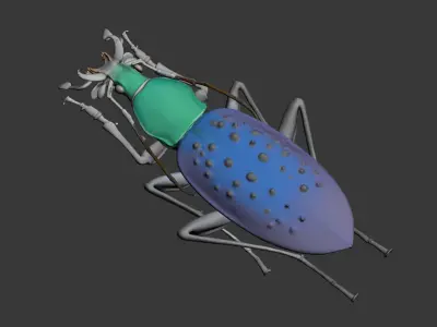 Insect 3D model buy