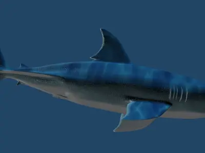 Megalodon great shark and whale Low-poly 3D model