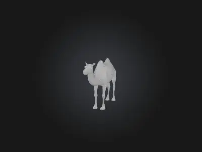 Realistic Camel Model Low-poly 3D model
