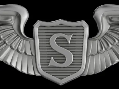USAAF Service Pilot Wings Badge 3D model