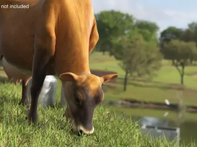 Mini Cow and Milk Bucket 3D model
