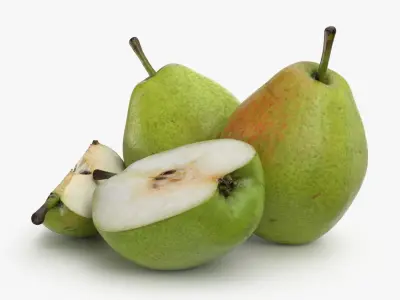 Pear Fruit 1 3D model