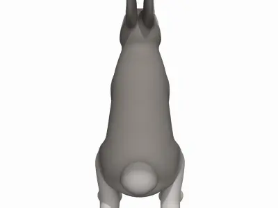 Gray rabbit  3D model