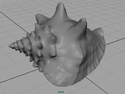 SEA SHELL Low-poly 3D model purchase