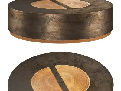 Acacius Round Coffee Table 55 3D model