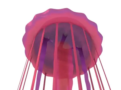 Jellyfish 3D model shop