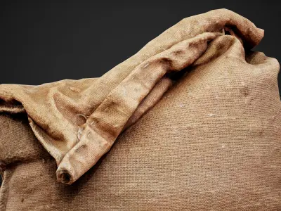 Old burlap bag photo scan Free low-poly 3D model