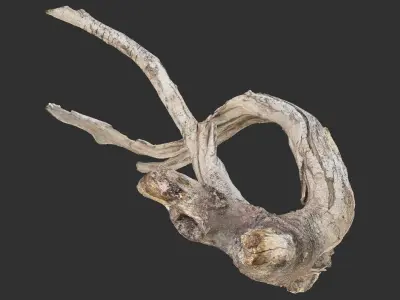Tree root 3d scan in highpoly 3D model by Shutters