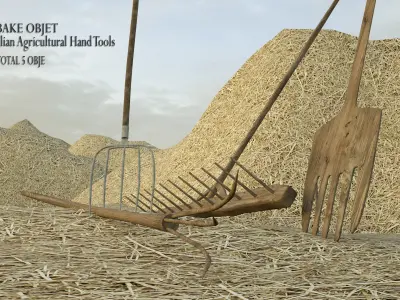  OLD ANATOLIAN AGRICULTURAL TOOLS  DESIGN  Low-poly 3D model