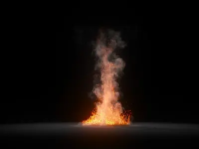 3D Fire Animation  3D model