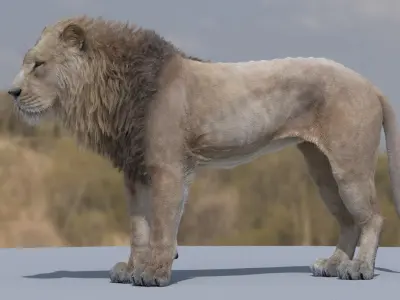 Lion 3D model