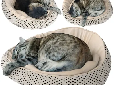 Sleeping Cat 3D model