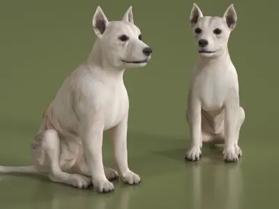  Mongrel Dog Cream Sitting Pose 