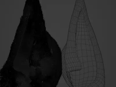 Fox Ears 3D model