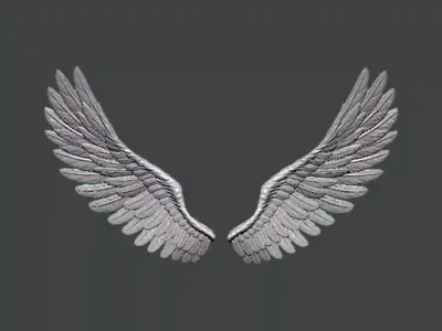 3D Model-WING0007 pair of silver wings 3D print model