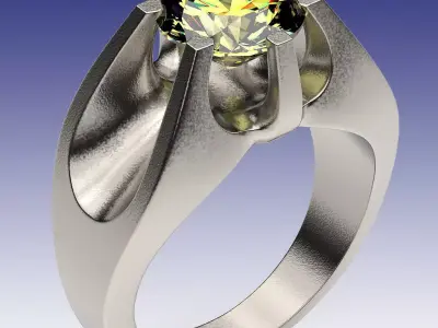 Ring Fortune 3D print model