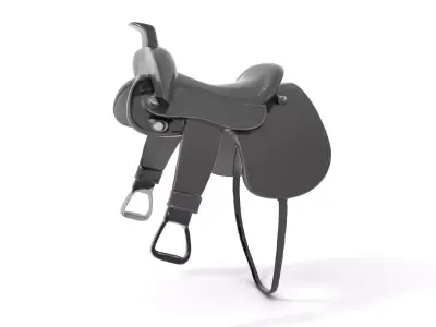 Sleek Black Saddle model pack Low-poly 3D model