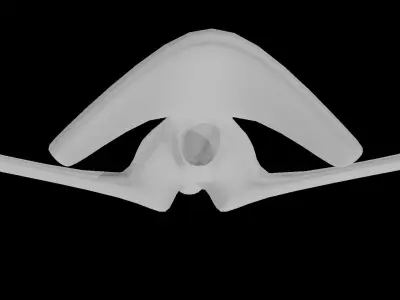Drone Plane 3D model