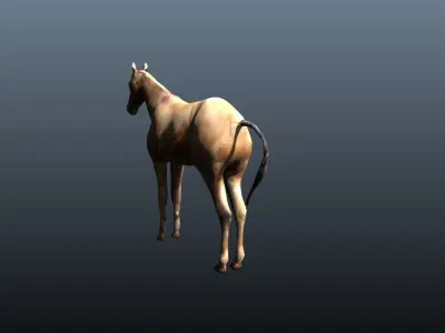 horse 3D model 8