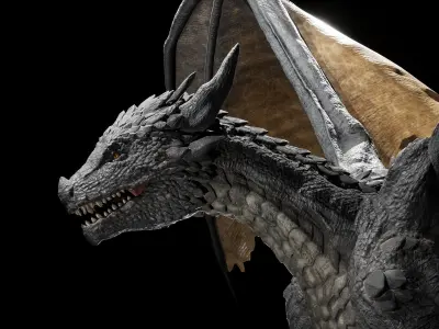 Fantasy Dragon Low-poly 3D model