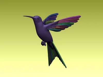 colibri humming bird 3D model