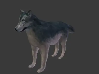 Rigged Textured Wolf Game Ready Free low-poly 3D model